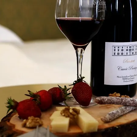 Chateau Rieutort 펜션