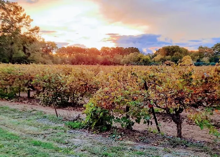Chateau Rieutort Prázdninový dům *